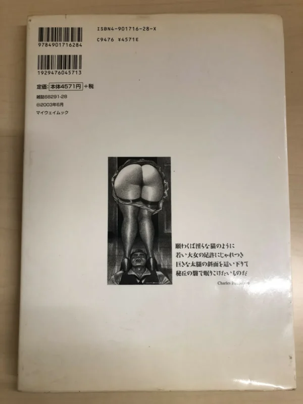 KyojoKatsuai Vol.2 My Fair Fat Lady / Namio Harukawa - Image 4