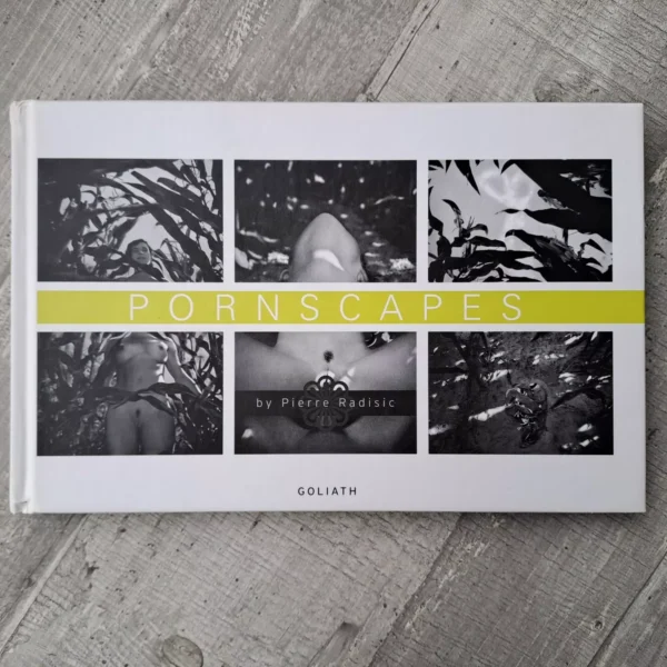 Pornscapes / Pierre Radisic
