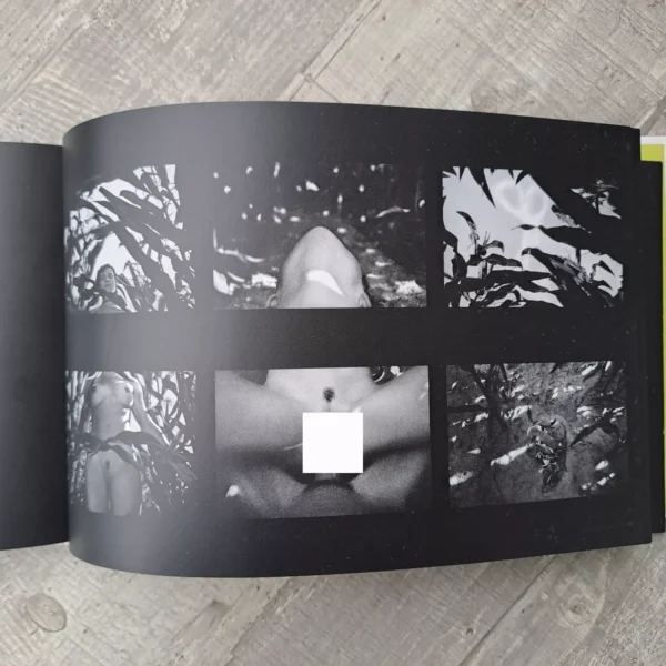 Pornscapes / Pierre Radisic - Image 2